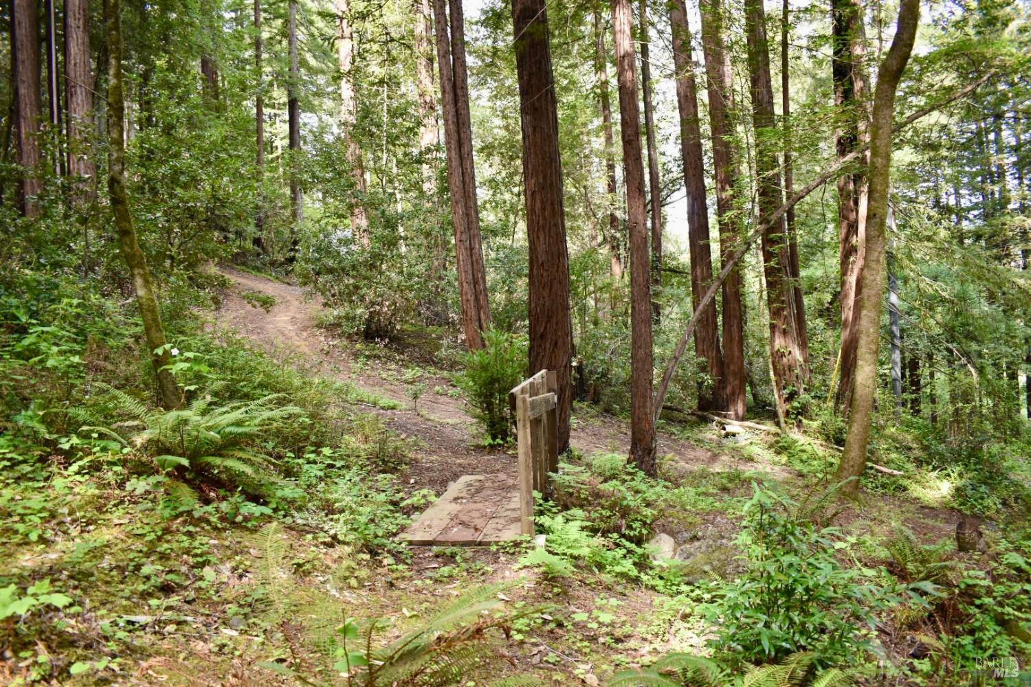 0 Old Monte Rio Road