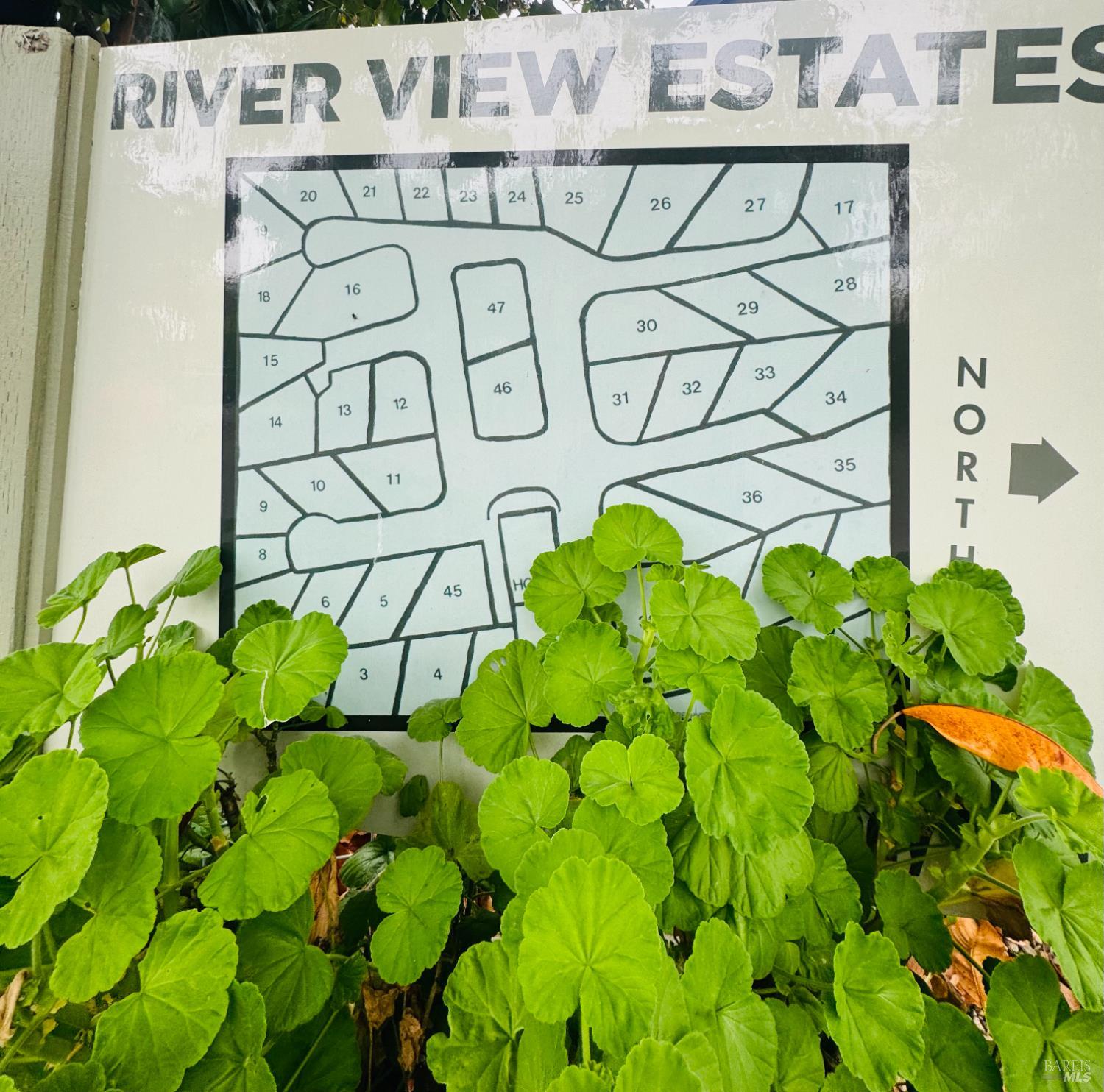 97 Kennedy Lane Unit: #36