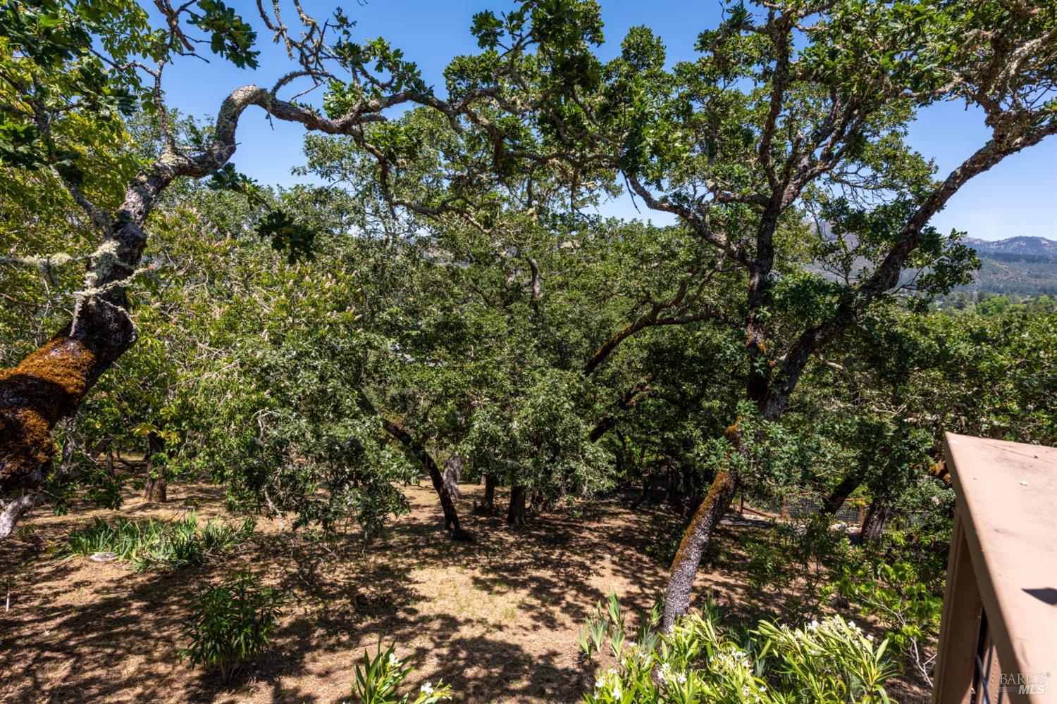 497 Hillsdale Drive