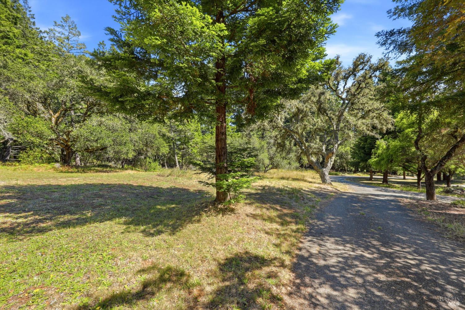 17375 Willow Creek Road