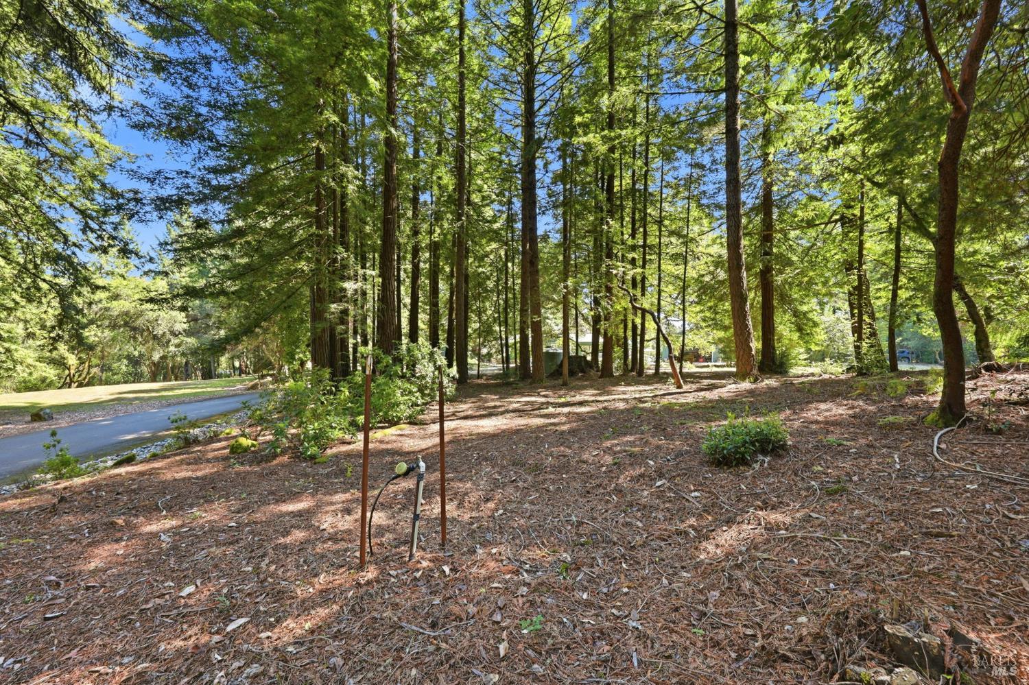 17375 Willow Creek Road
