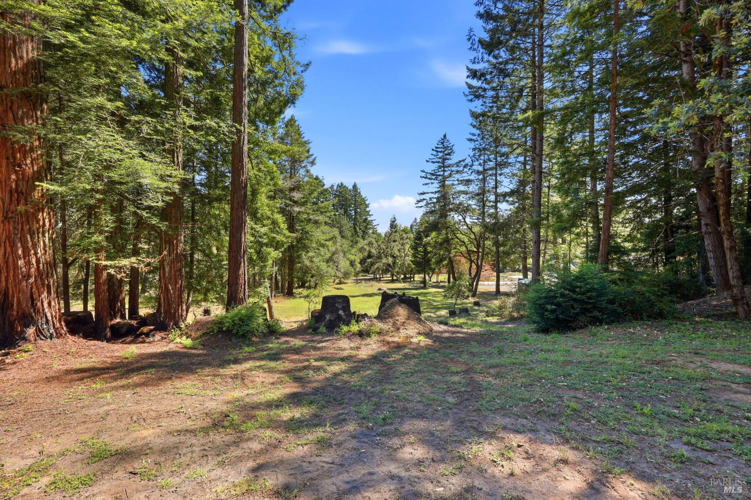 17375 Willow Creek Road