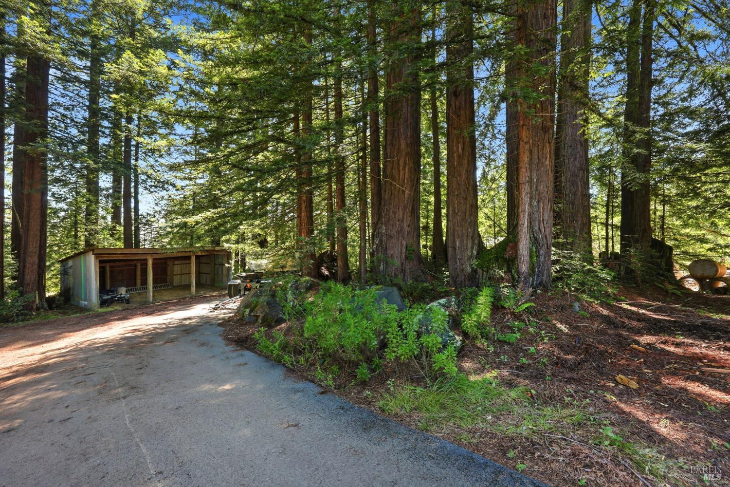 17375 Willow Creek Road