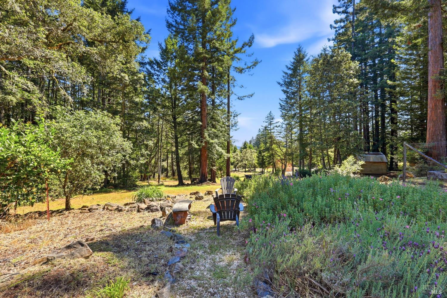 17375 Willow Creek Road
