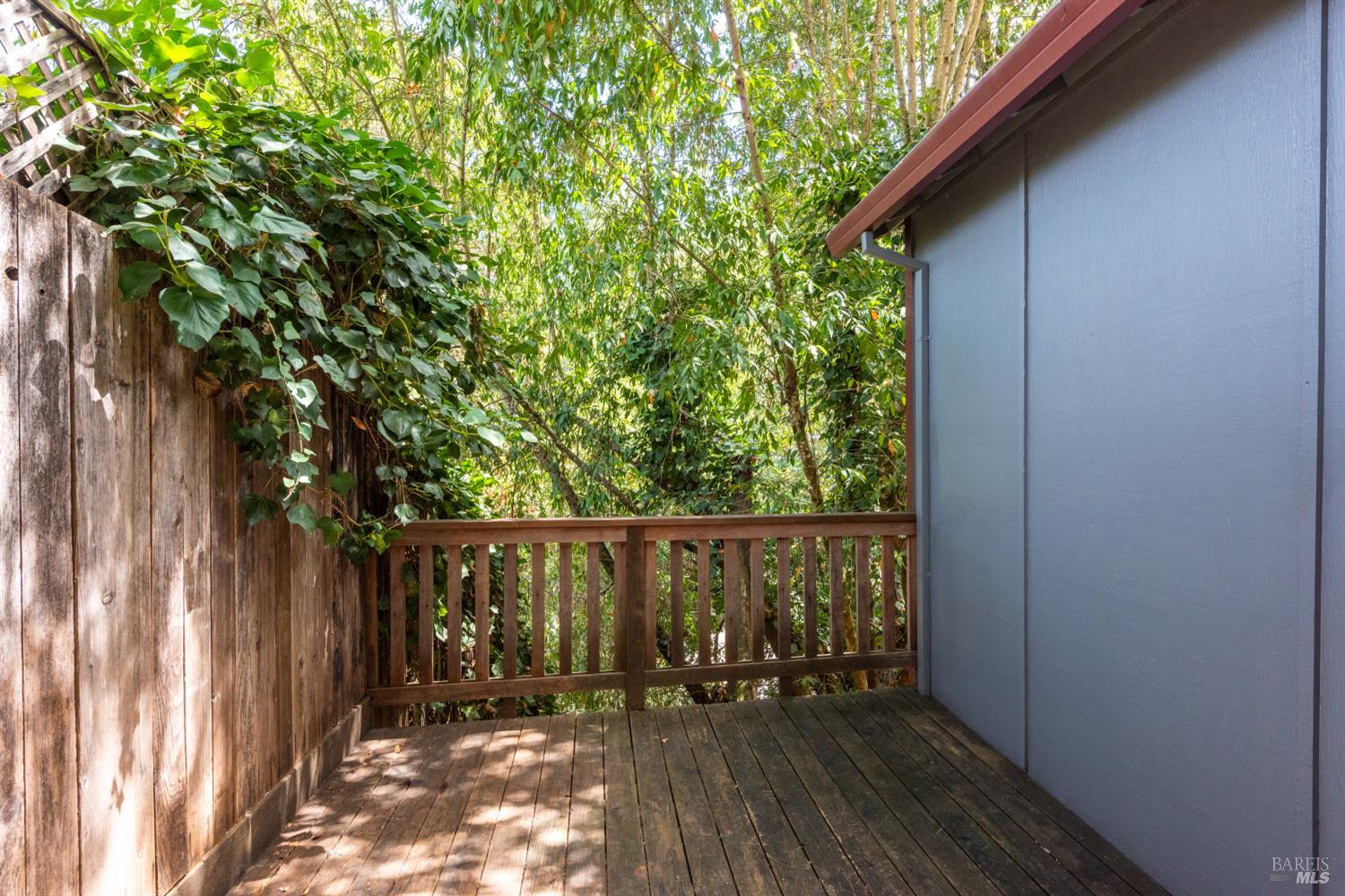 9779 Rio Vista Road