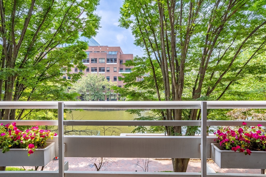 4 Canal Park # 209