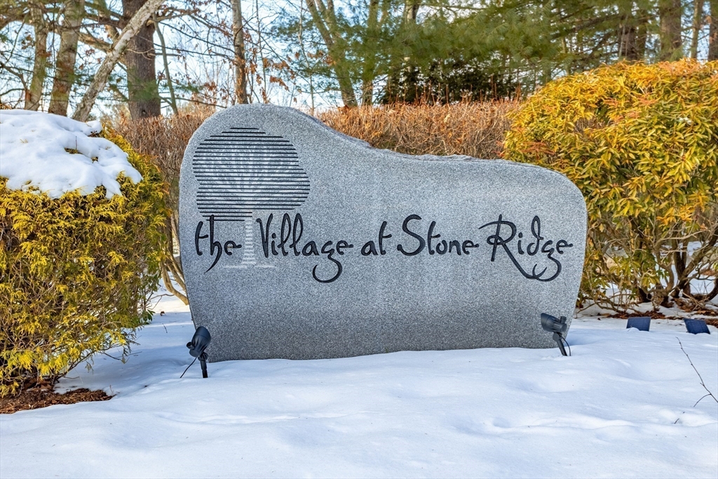 15 Stone Ridge Rd # 15
