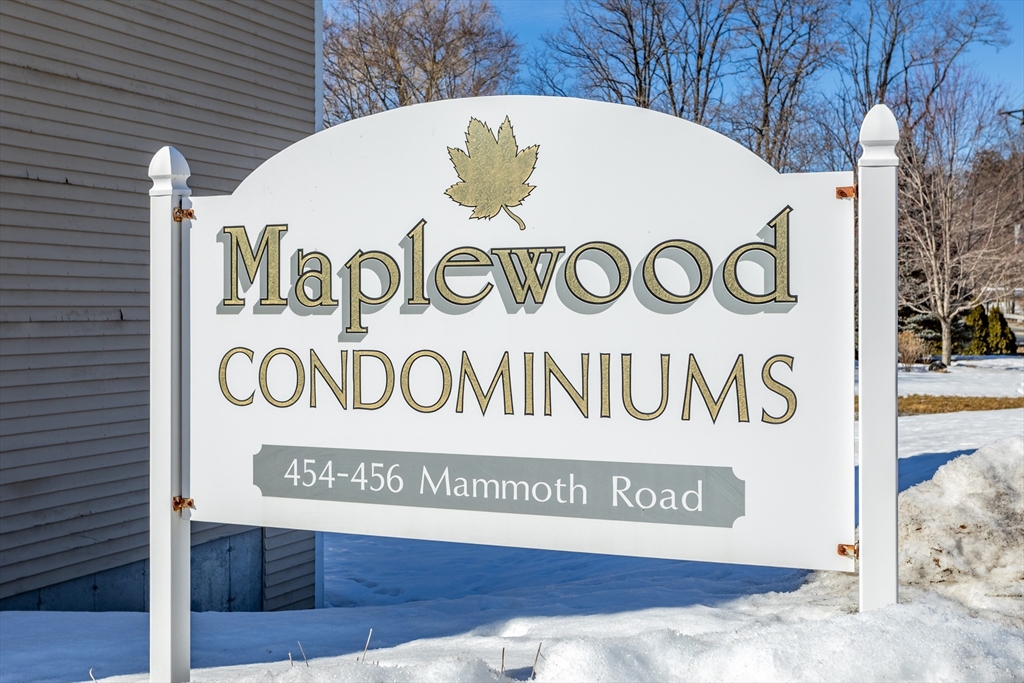 456 Mammoth Road # 5