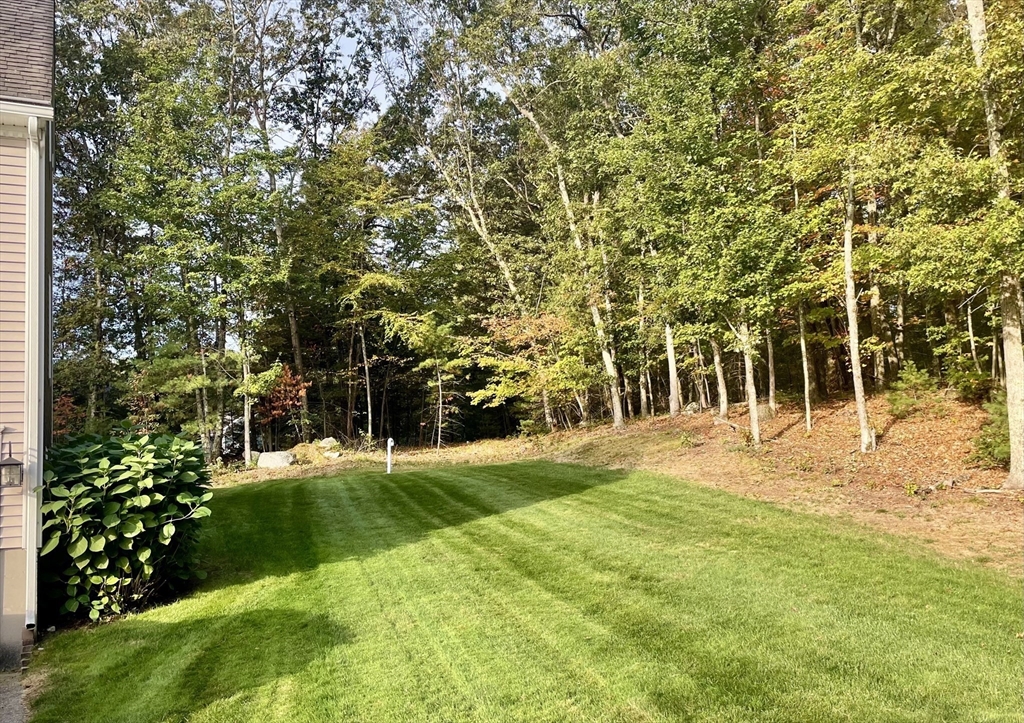 5 Fawn Road
