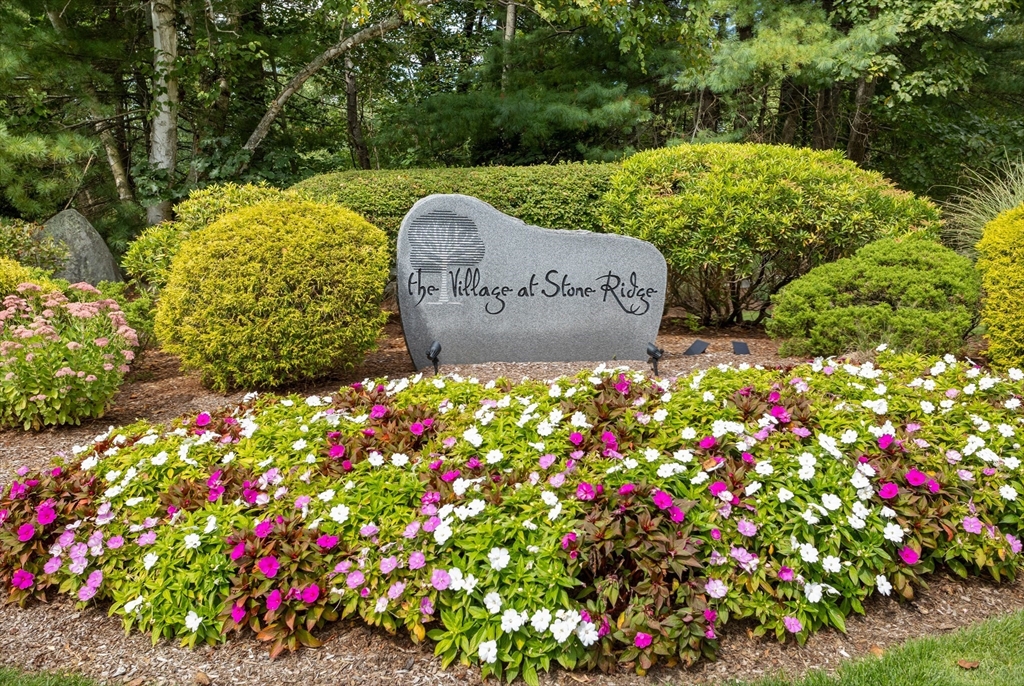 19 Sandstone Road # 0