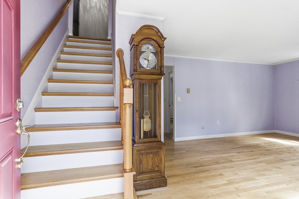 12 Hemlock Road