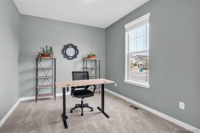 863 Carbonate Lane