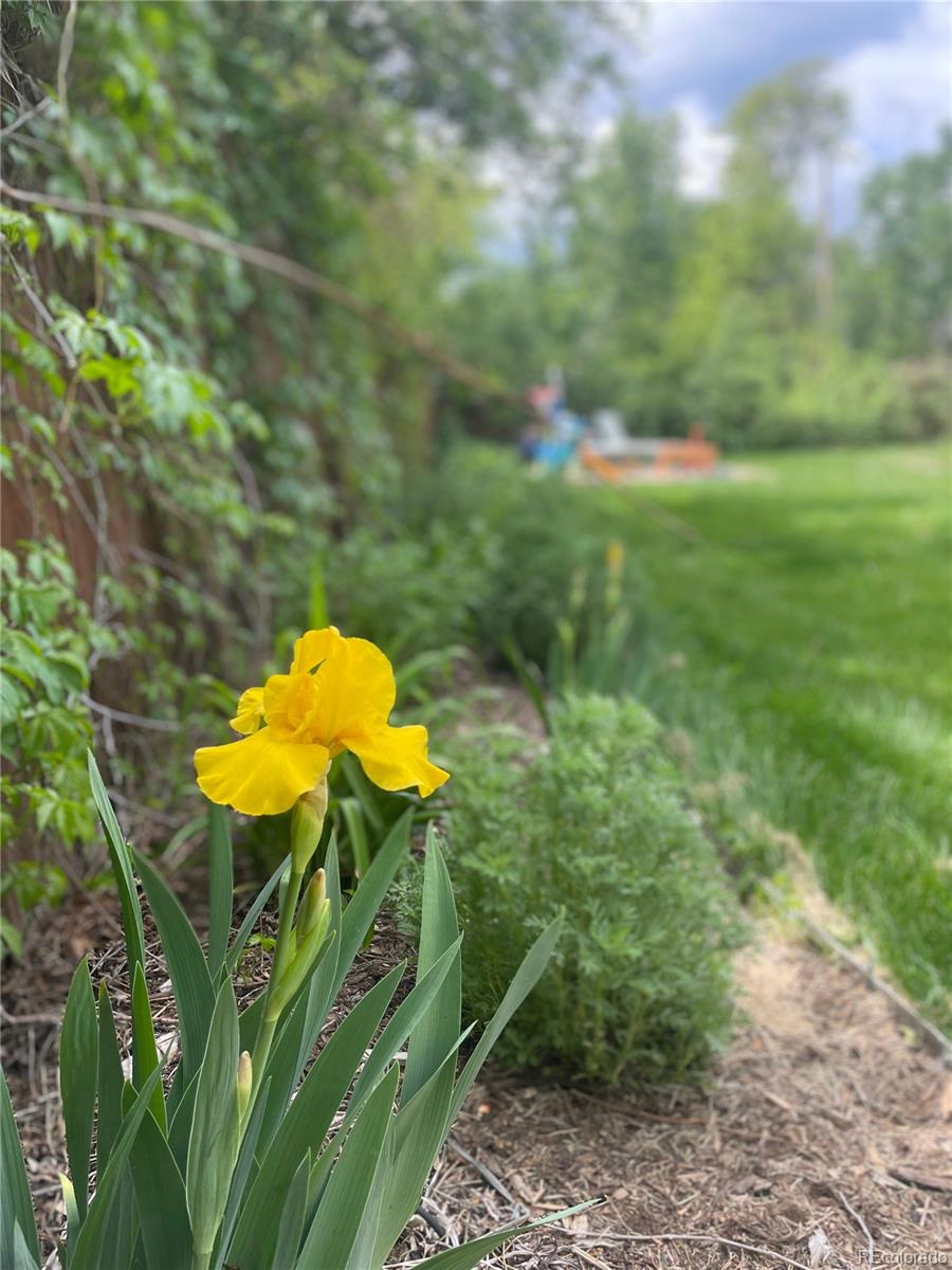 2480 Brentwood Street