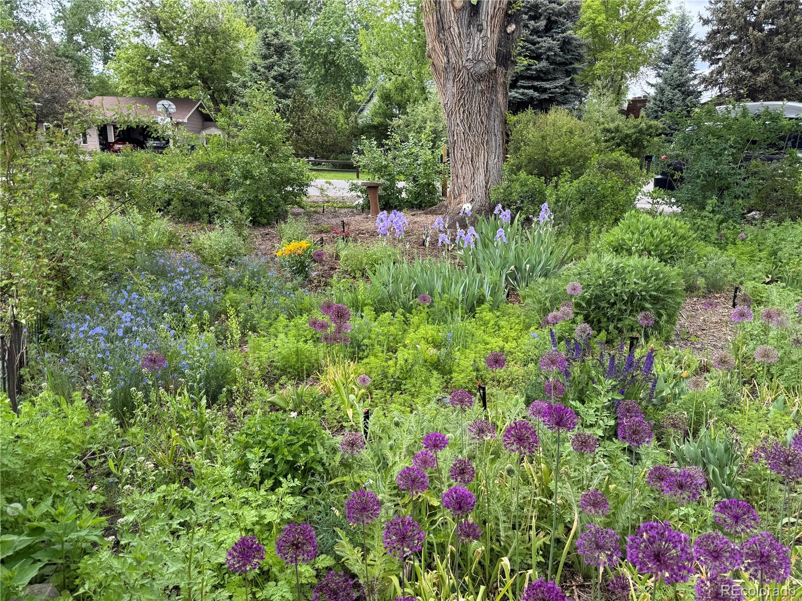 2480 Brentwood Street