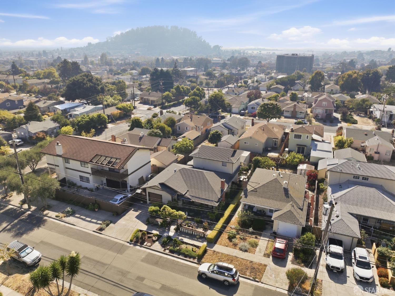 Aerial view of El Cerrito homes and tree-lined streets, with a wooded hill in the distance.