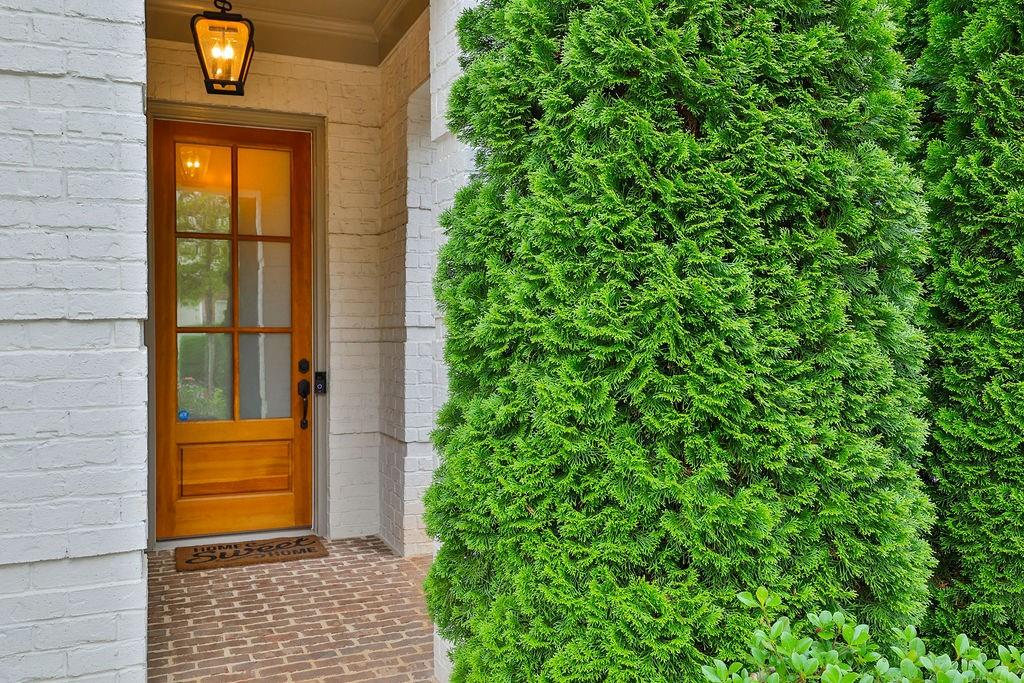 1126 Blackshear Drive