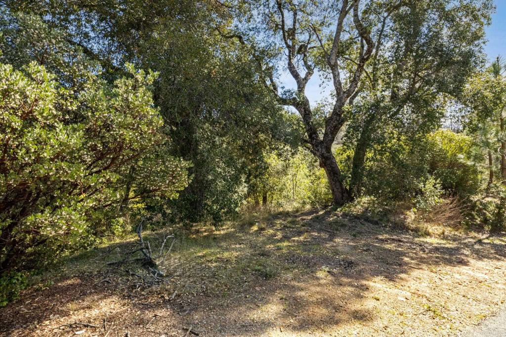 0 INCENSE CEDAR ROAD