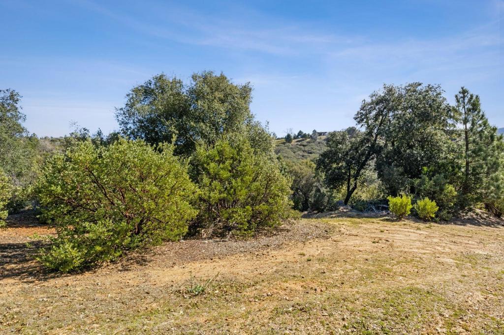 0 INCENSE CEDAR ROAD