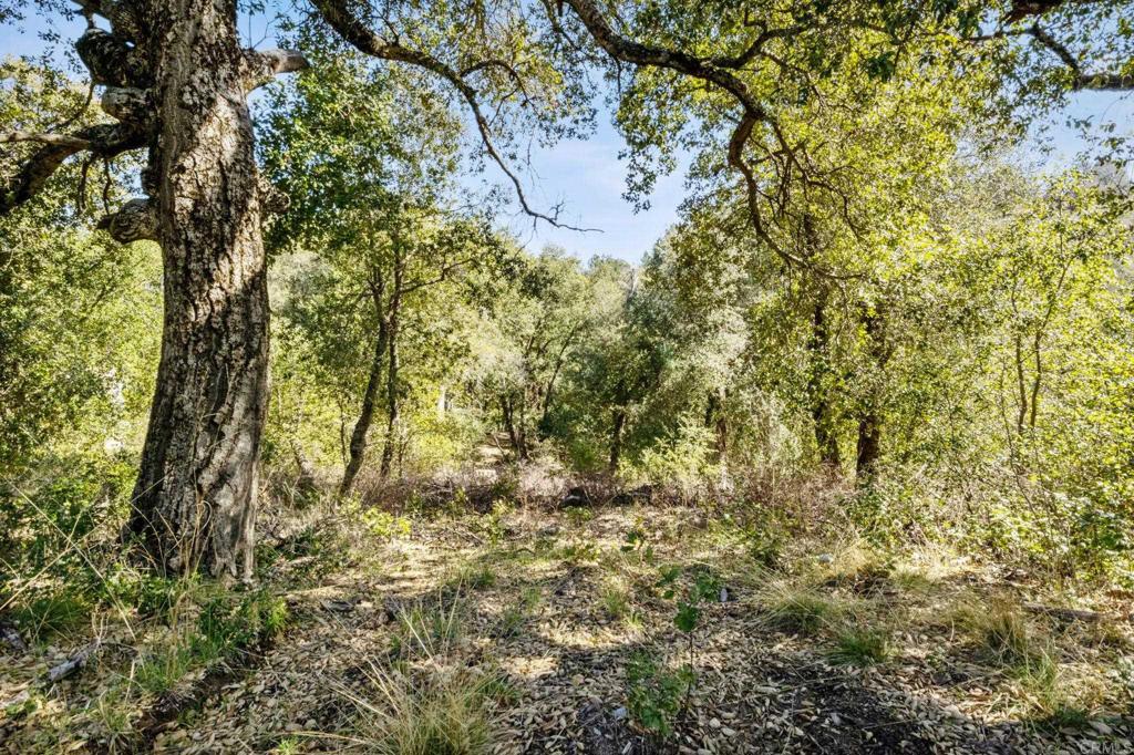 0 INCENSE CEDAR ROAD