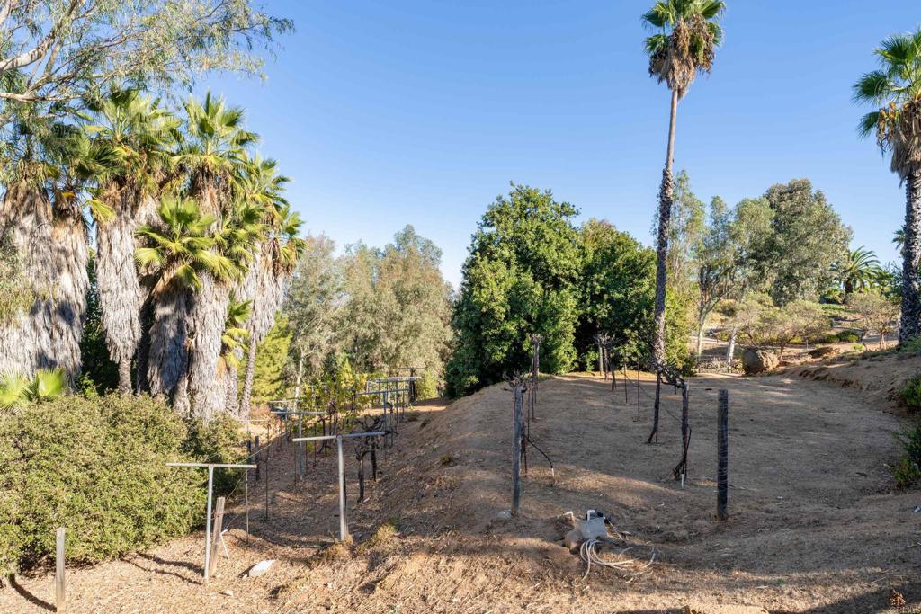 16457 SOMBRA DEL MONTE