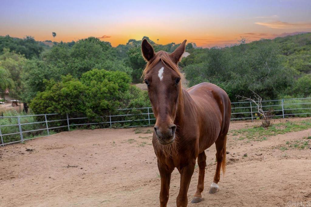 16526 GREEN VALLEY TRUCK TRAIL