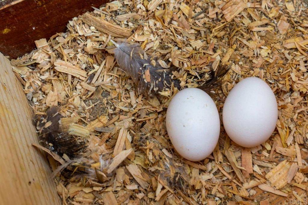 16526 GREEN VALLEY TRUCK TRAIL