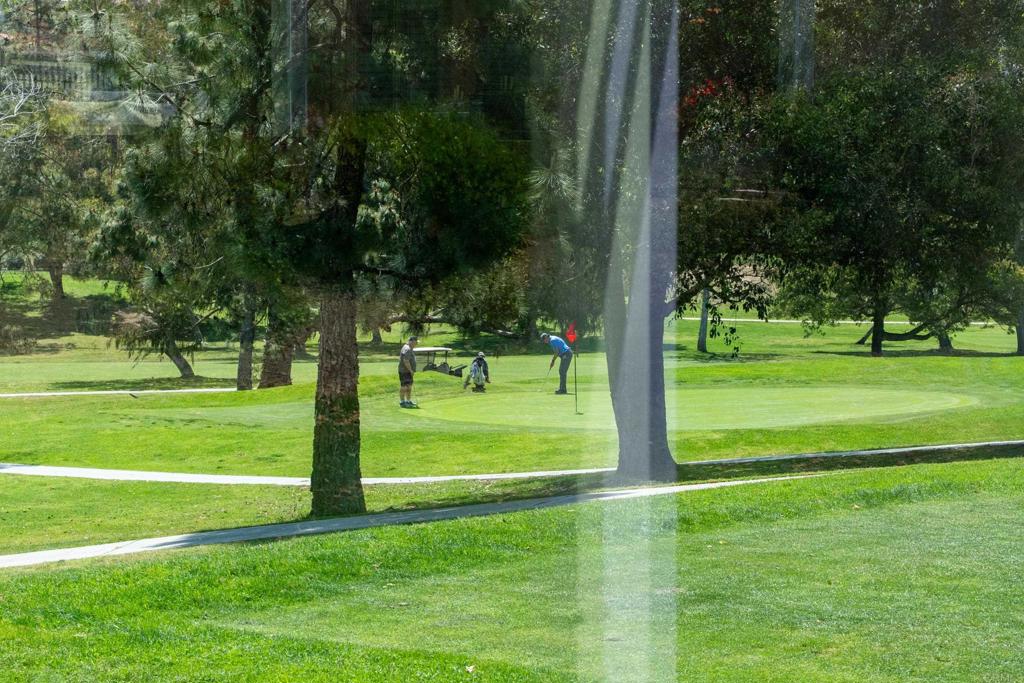 1481 CAMINO LINDA Drive