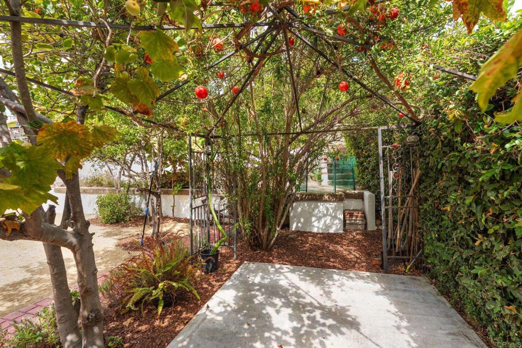3942 CATAMARCA Drive