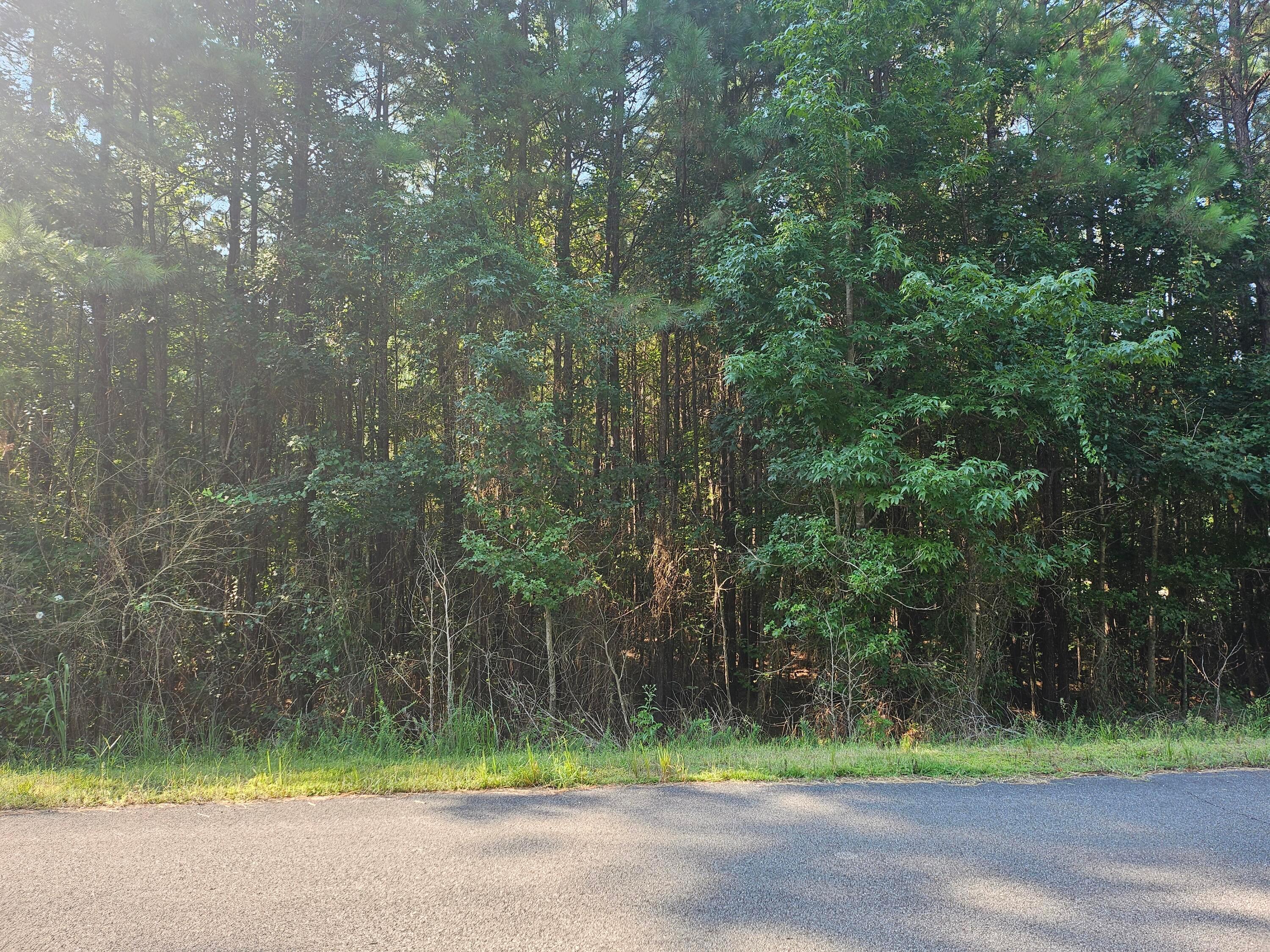 LOT 3 PRESERVE TRAIL