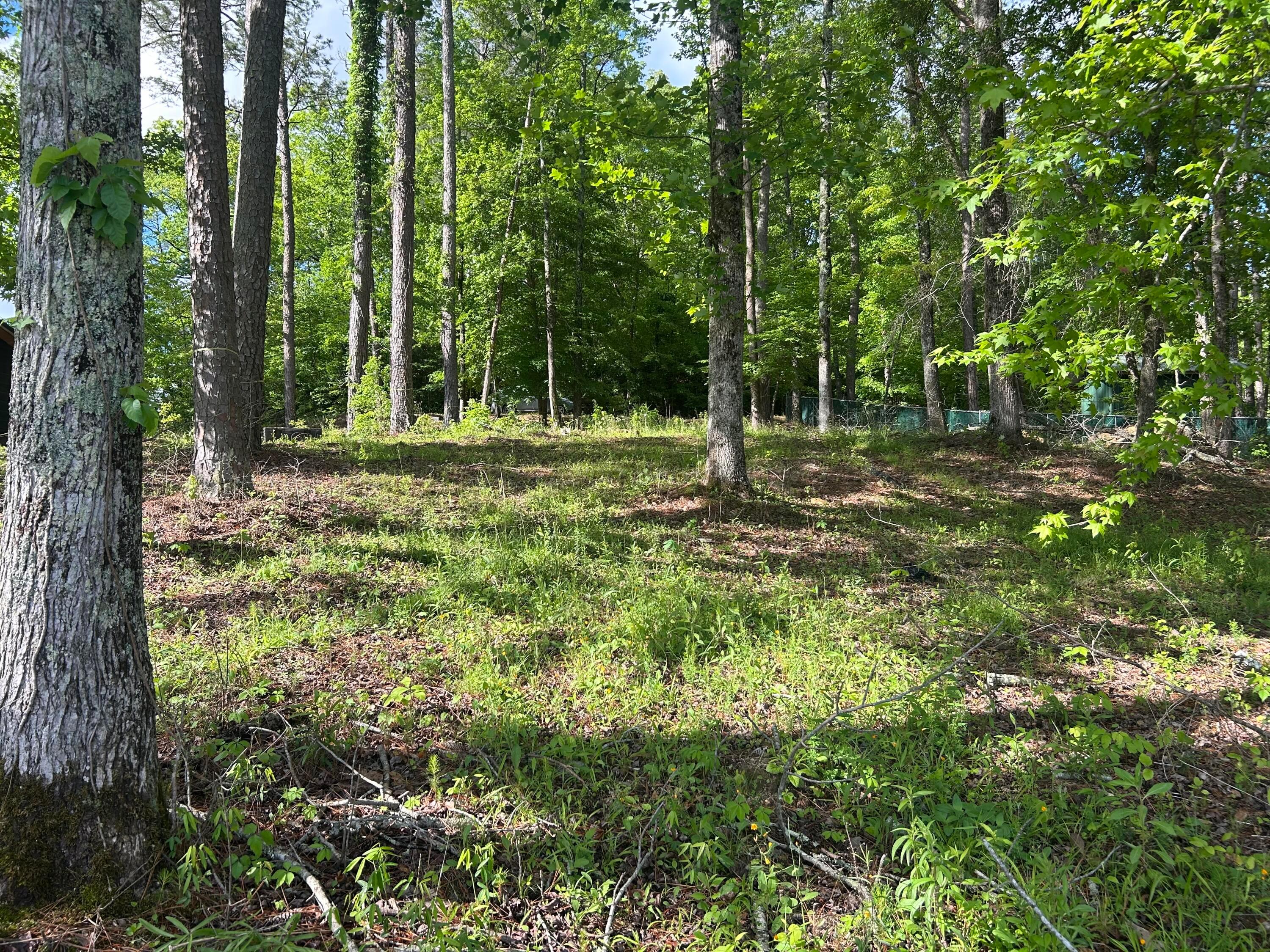 00 COUNTY ROAD 3102