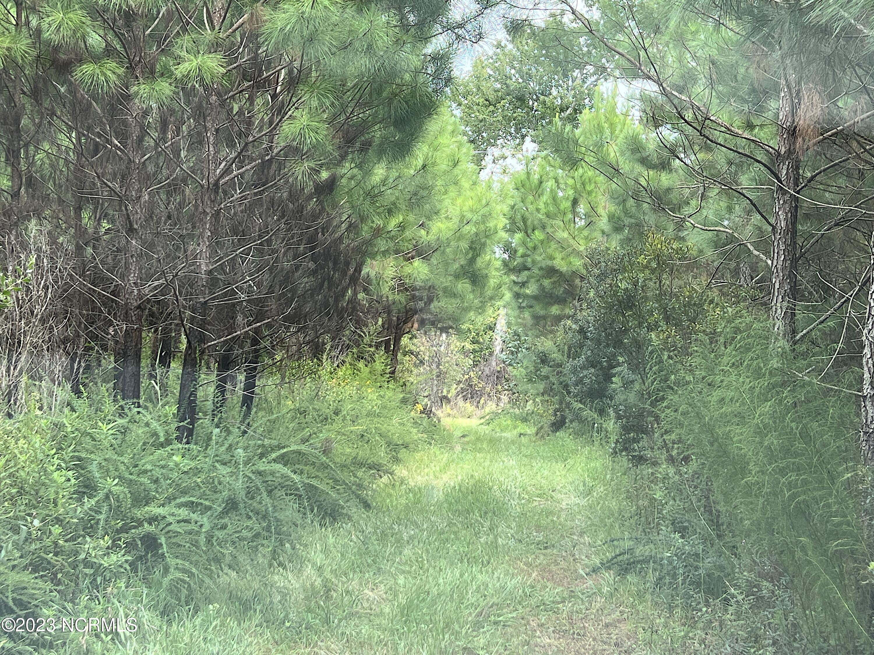 J Tebo Road