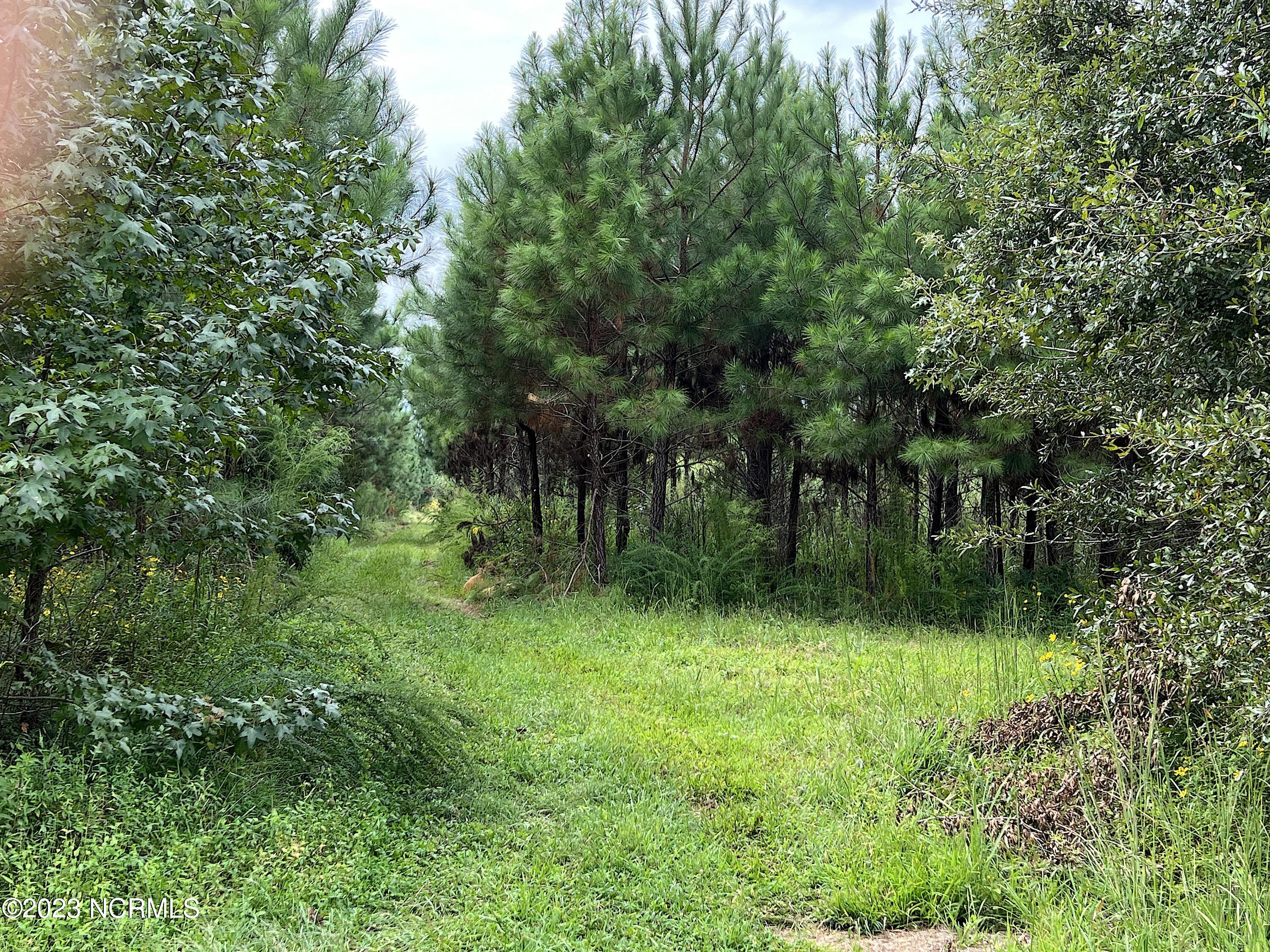 J Tebo Road