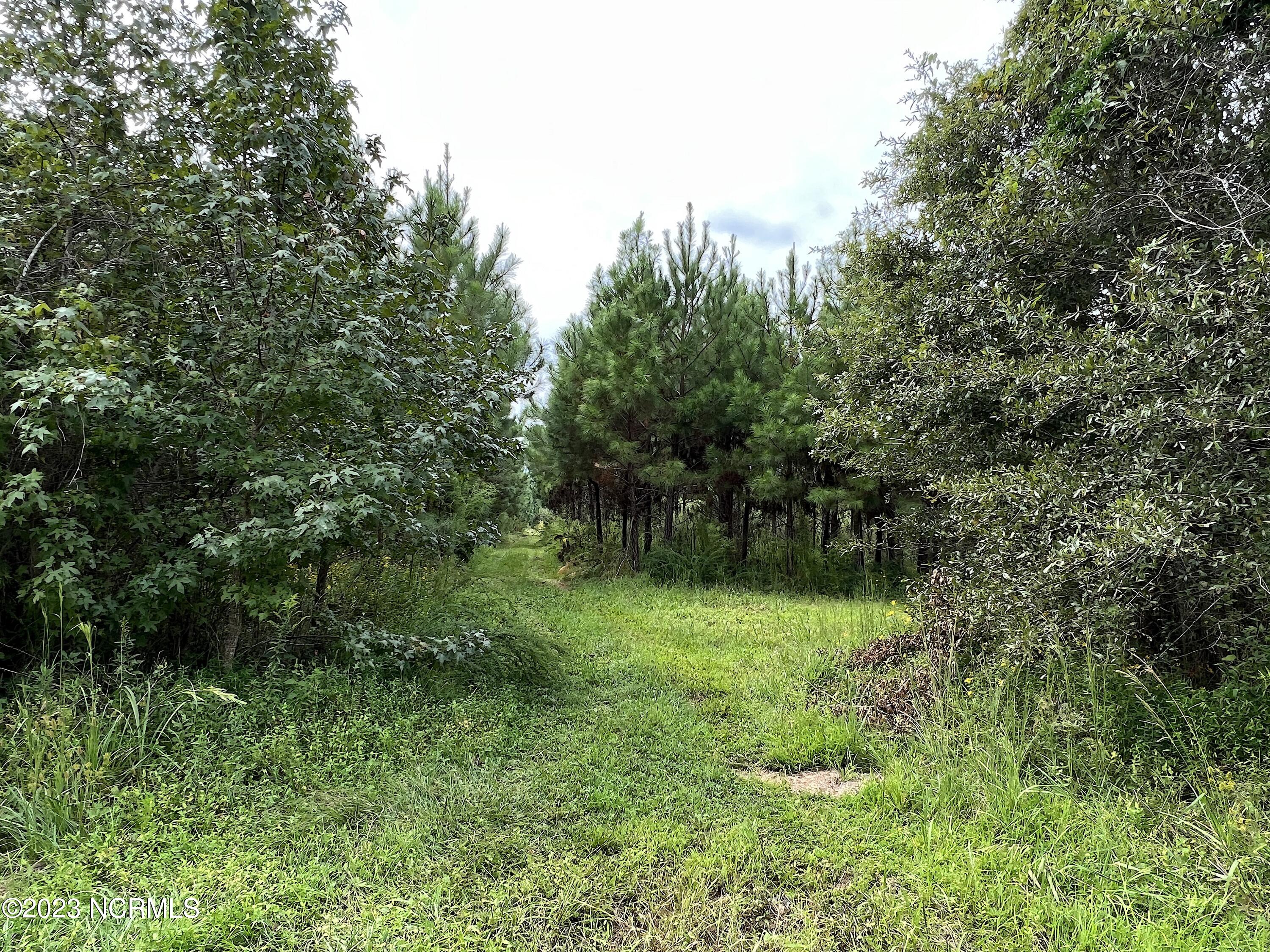 E Tebo Road