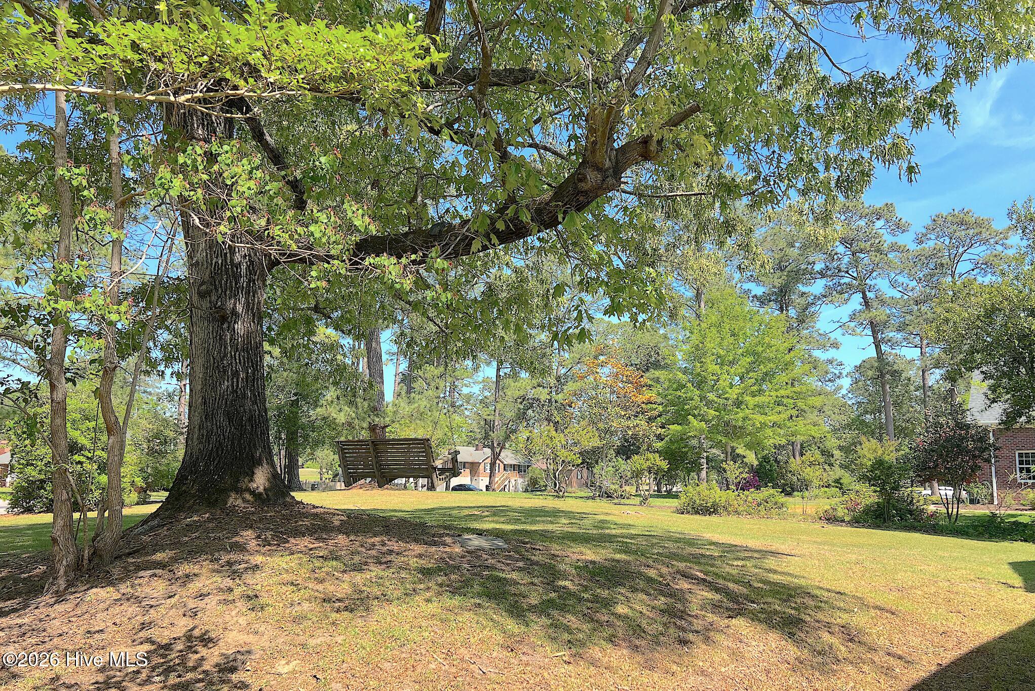 Backyard lawn beneath a large shade tree, with a raised wooden deck in the distance.
