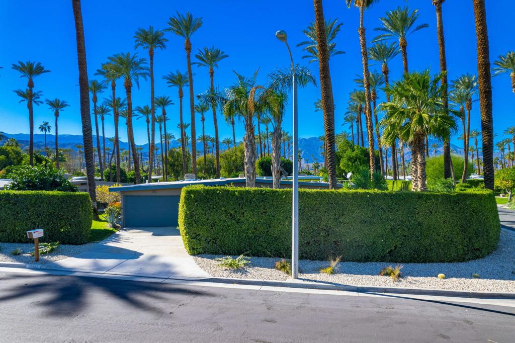 36903 Palm View Road