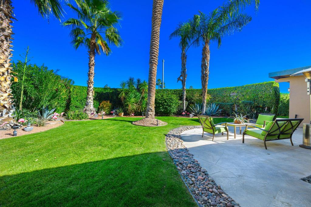 36903 Palm View Road