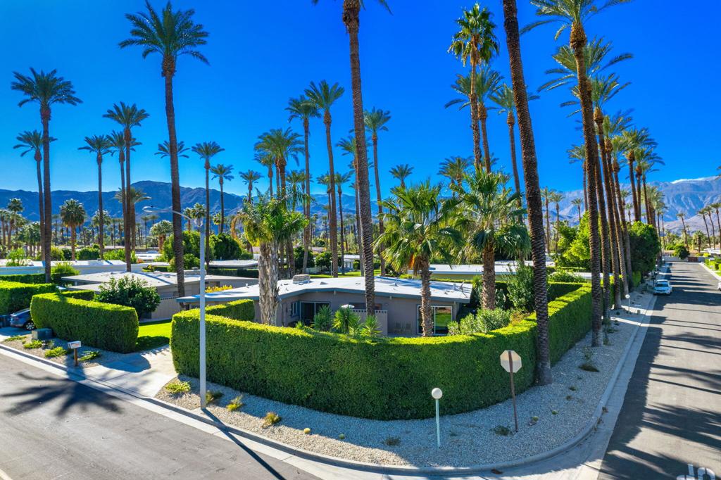 36903 Palm View Road