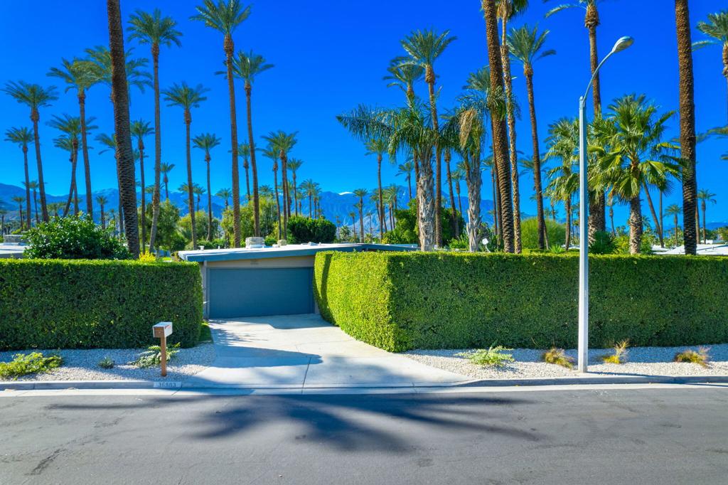 36903 Palm View Road