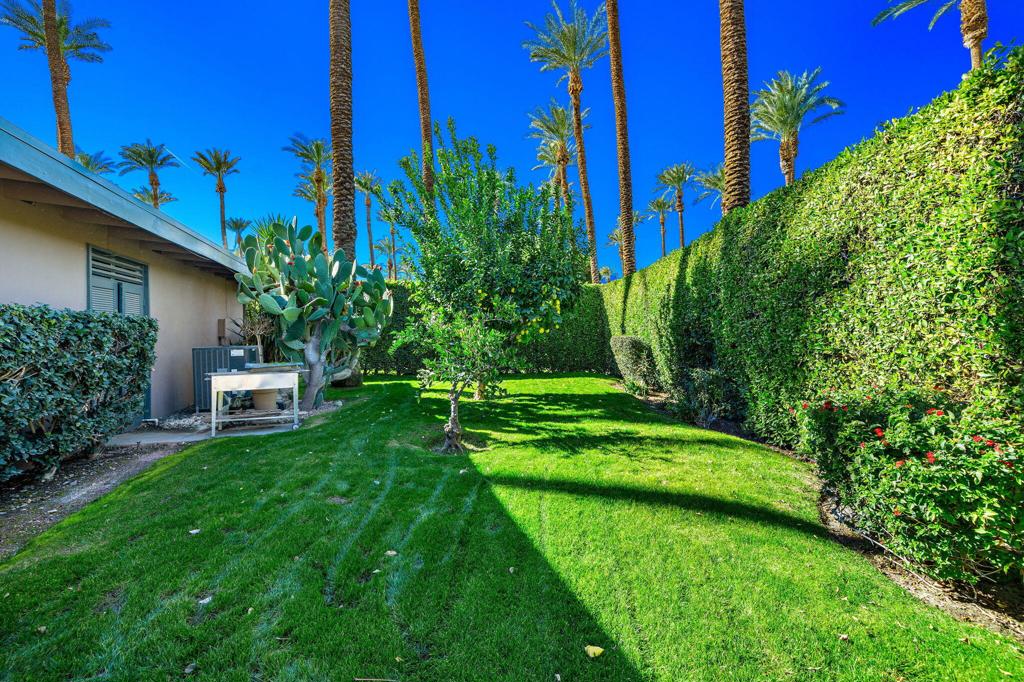 36903 Palm View Road