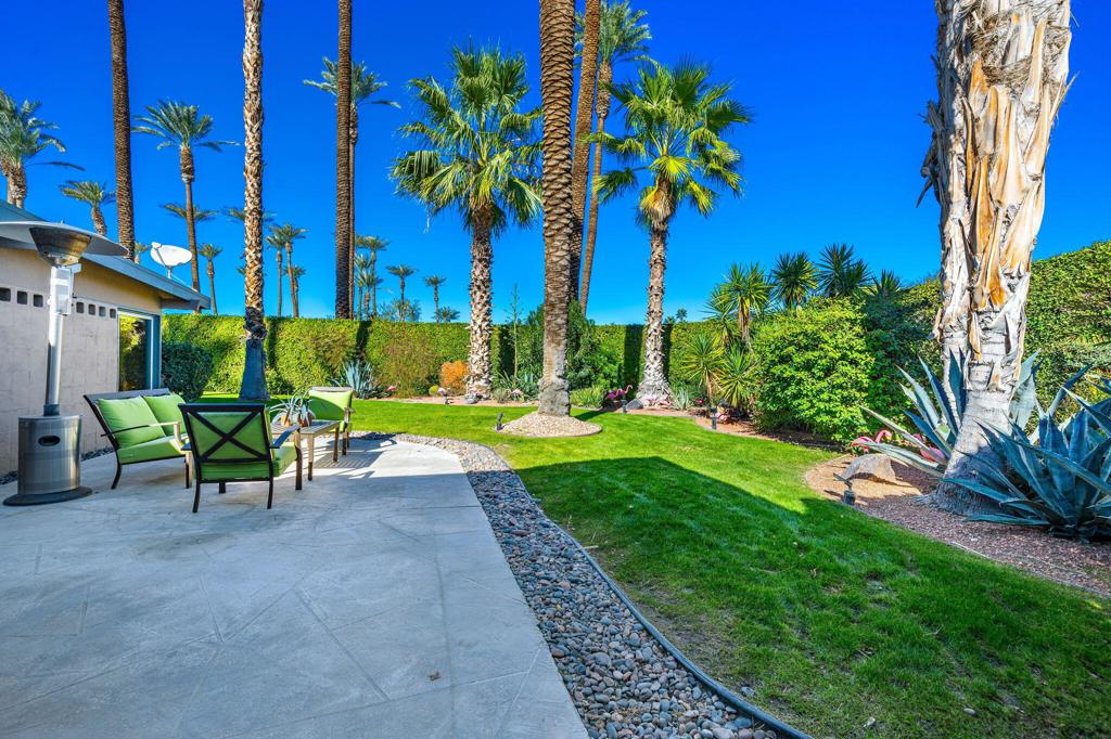 36903 Palm View Road