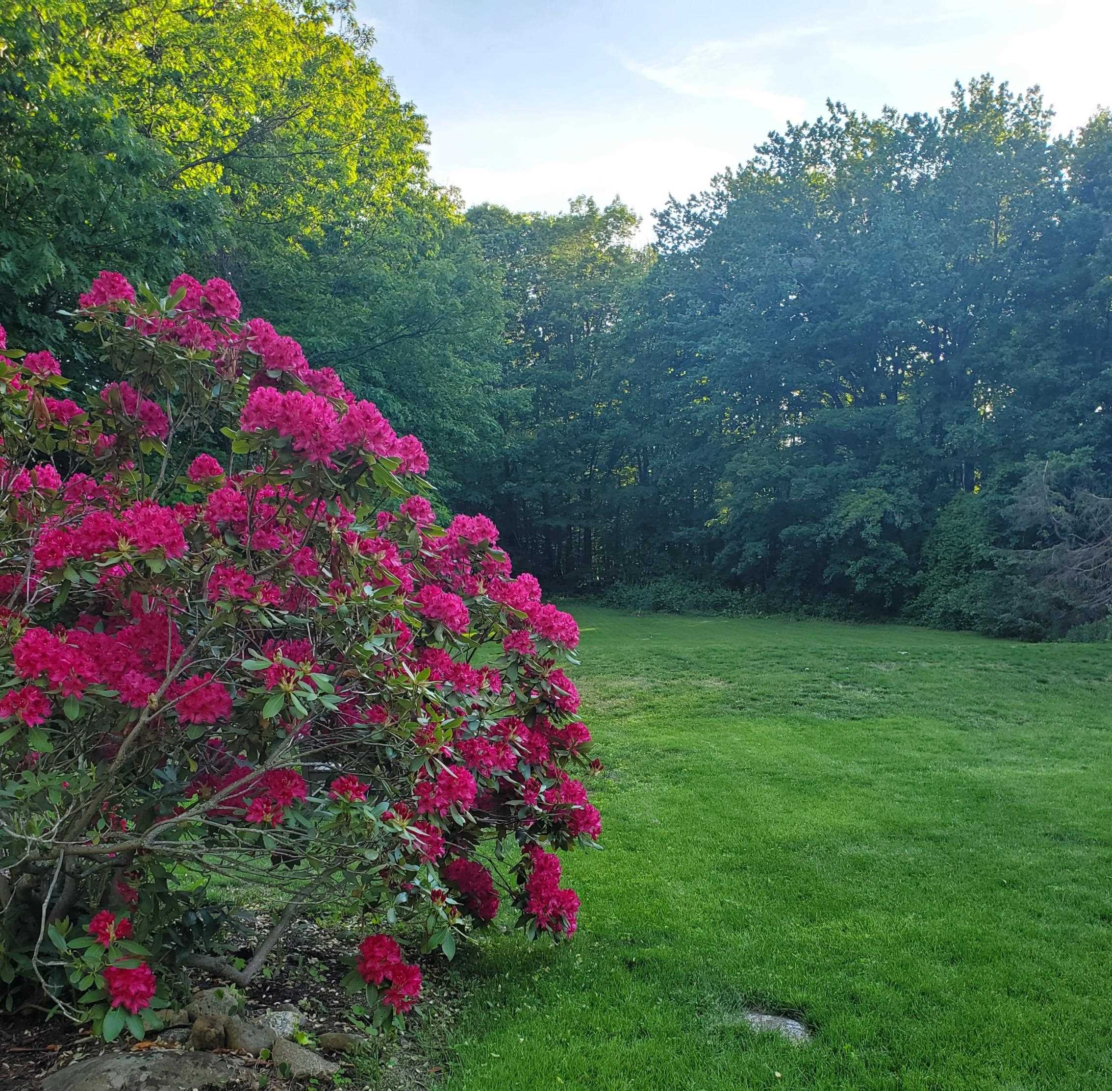 544 Upper Straw Road