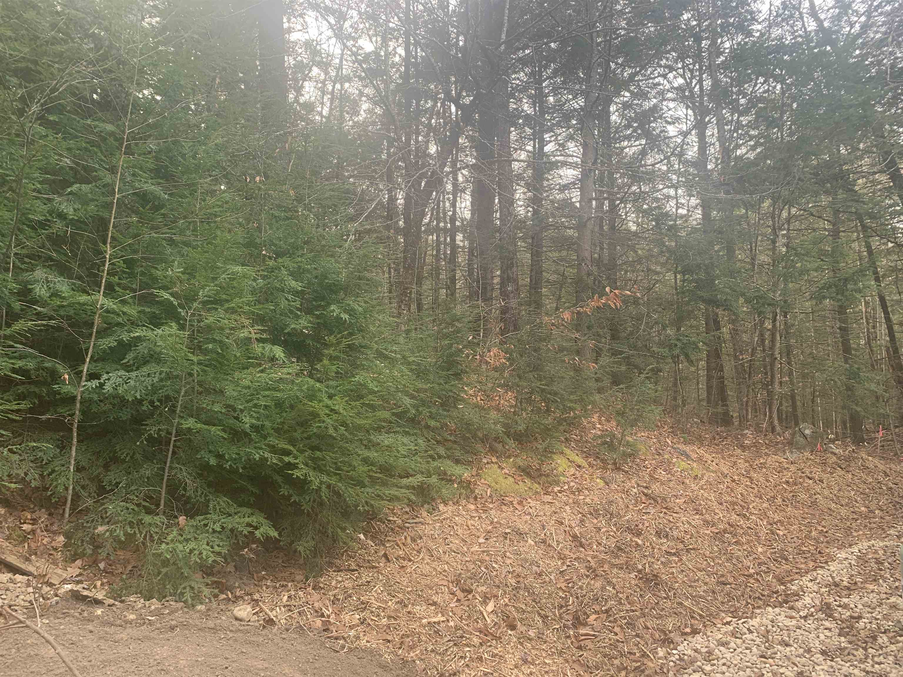 204 NorthEast Pond Road