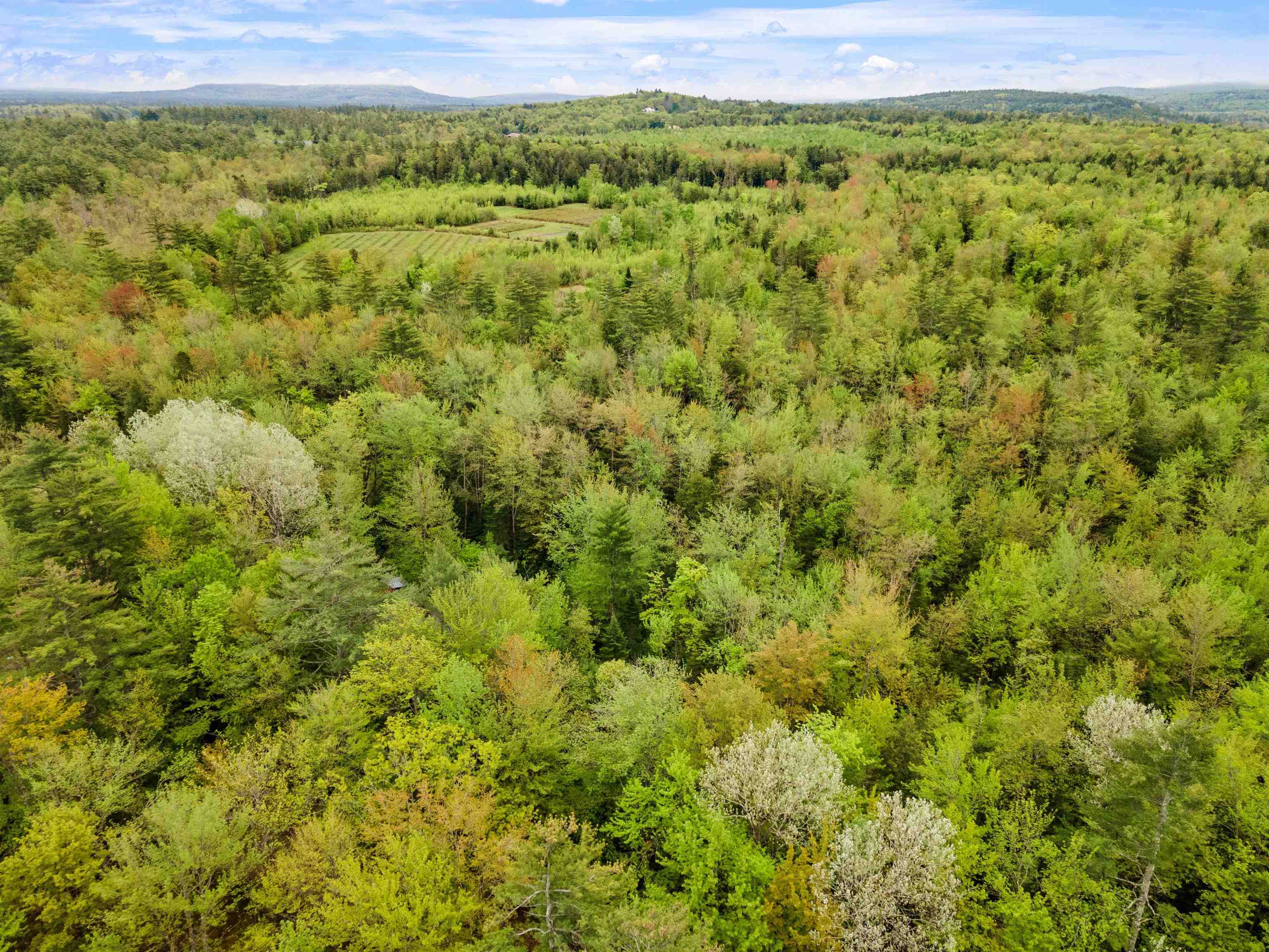 26 Beech River Circle
