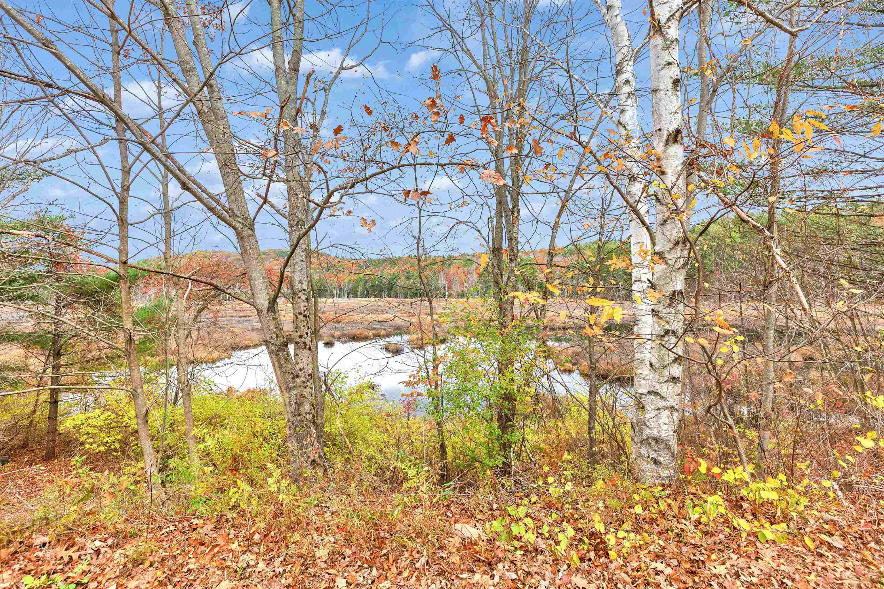 155 Francestown Road