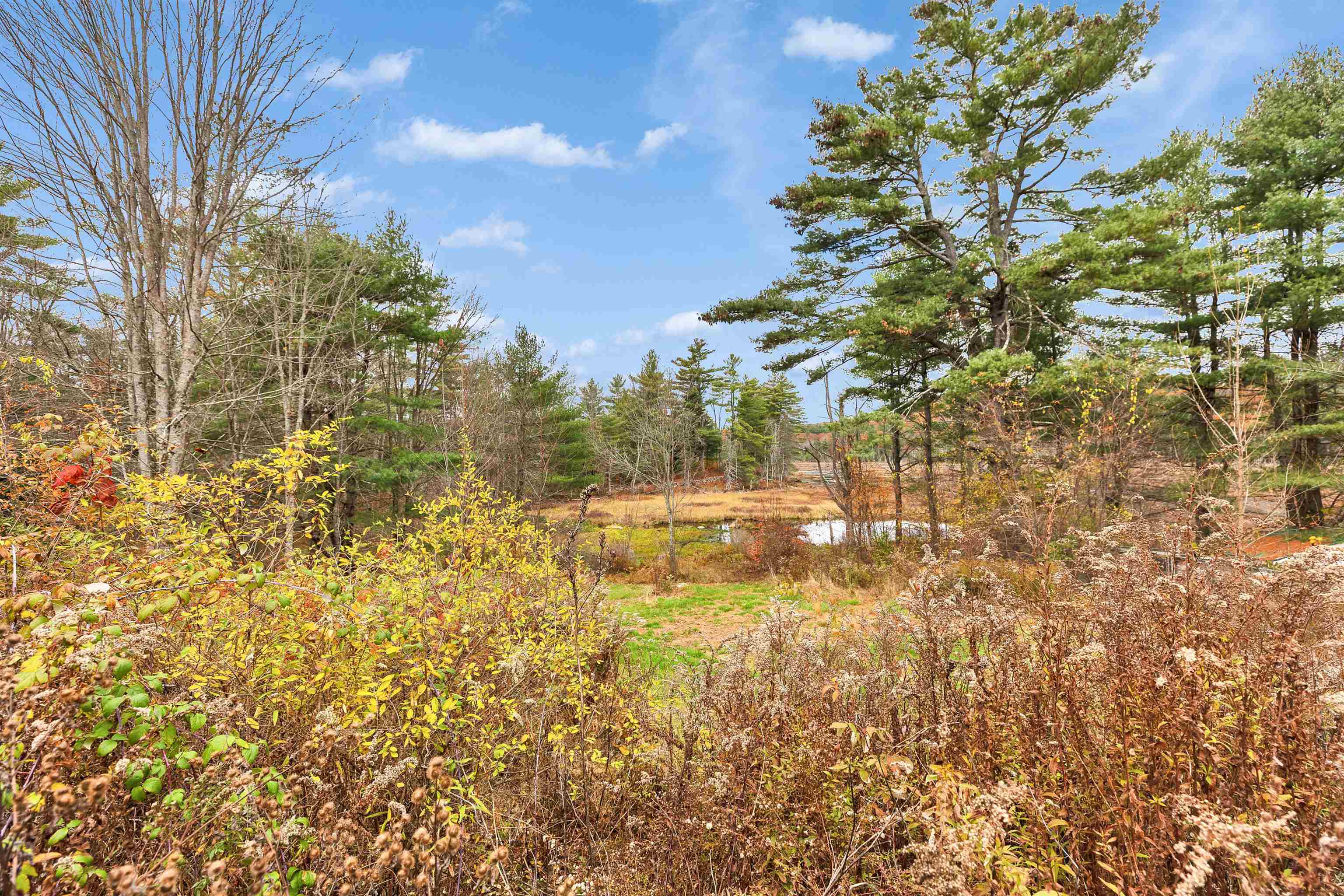 155 Francestown Road