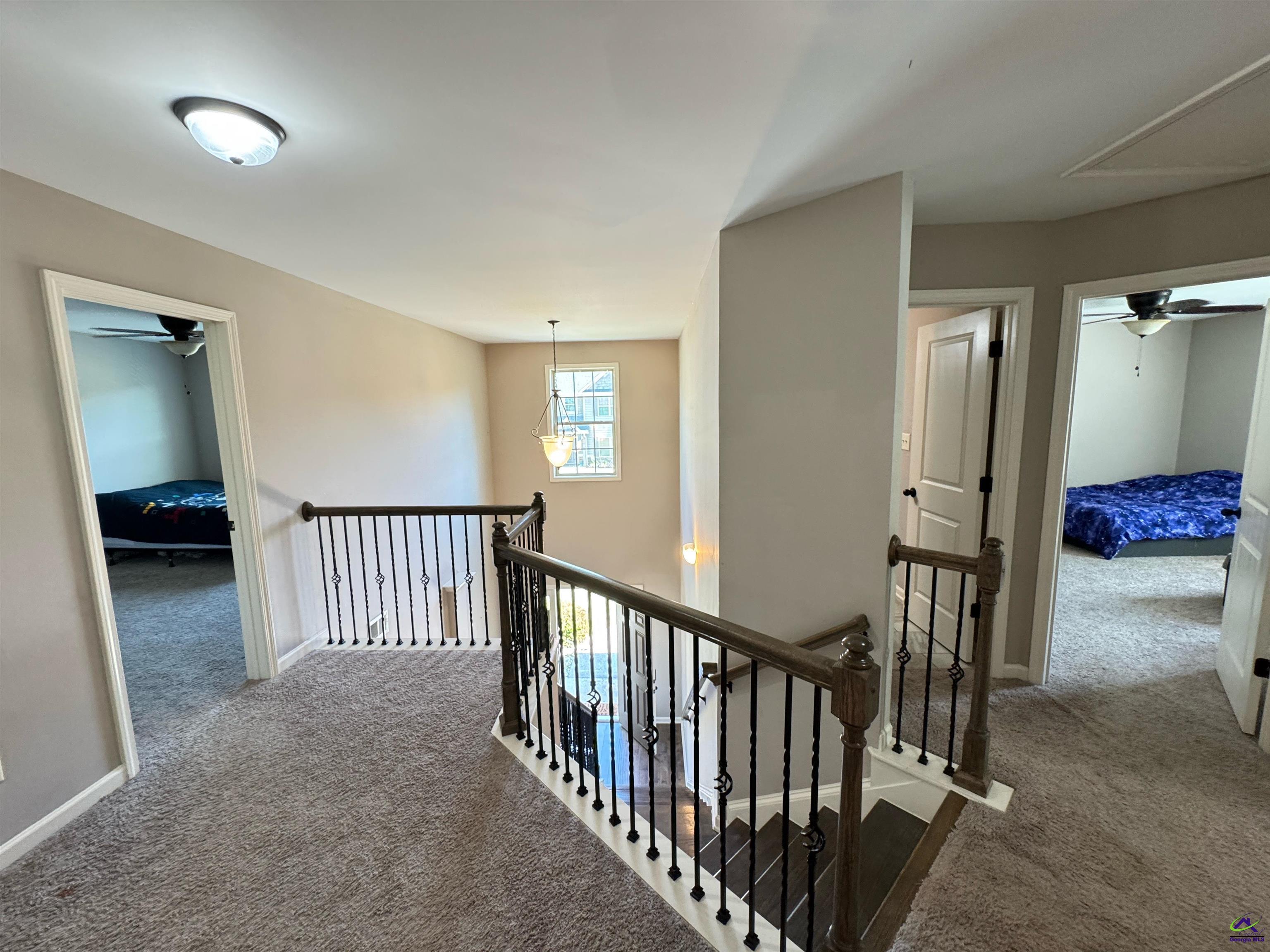 305 Dog Fennel Lane