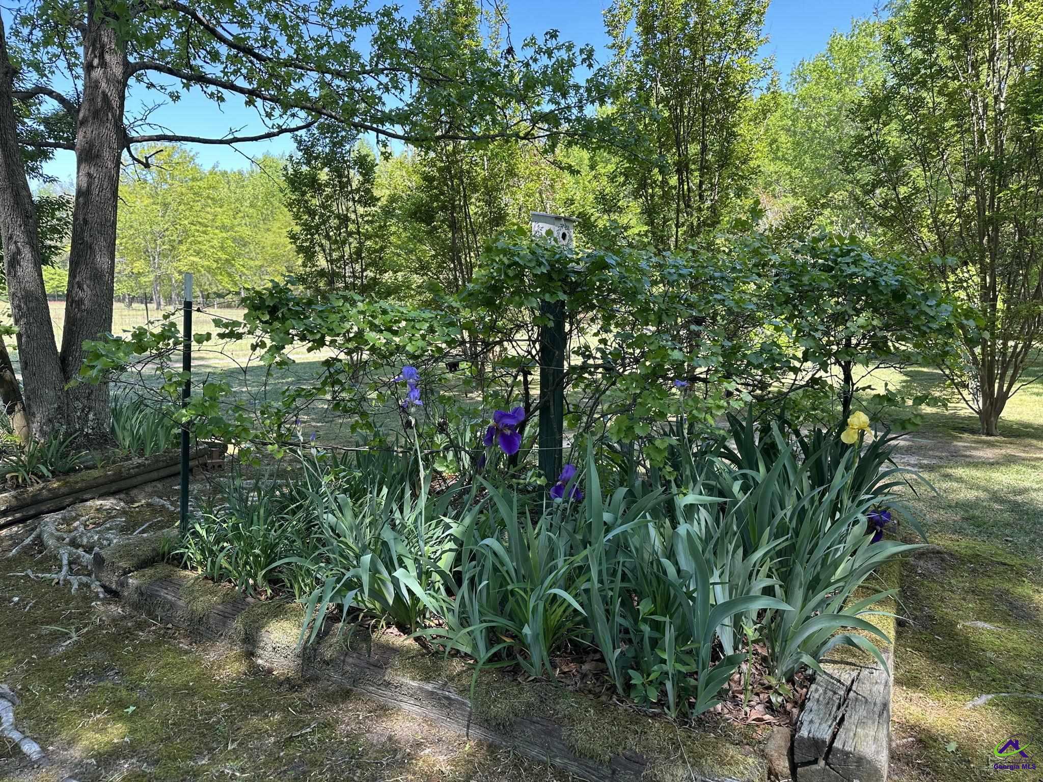 22199 US Hwy 441, McIntyre