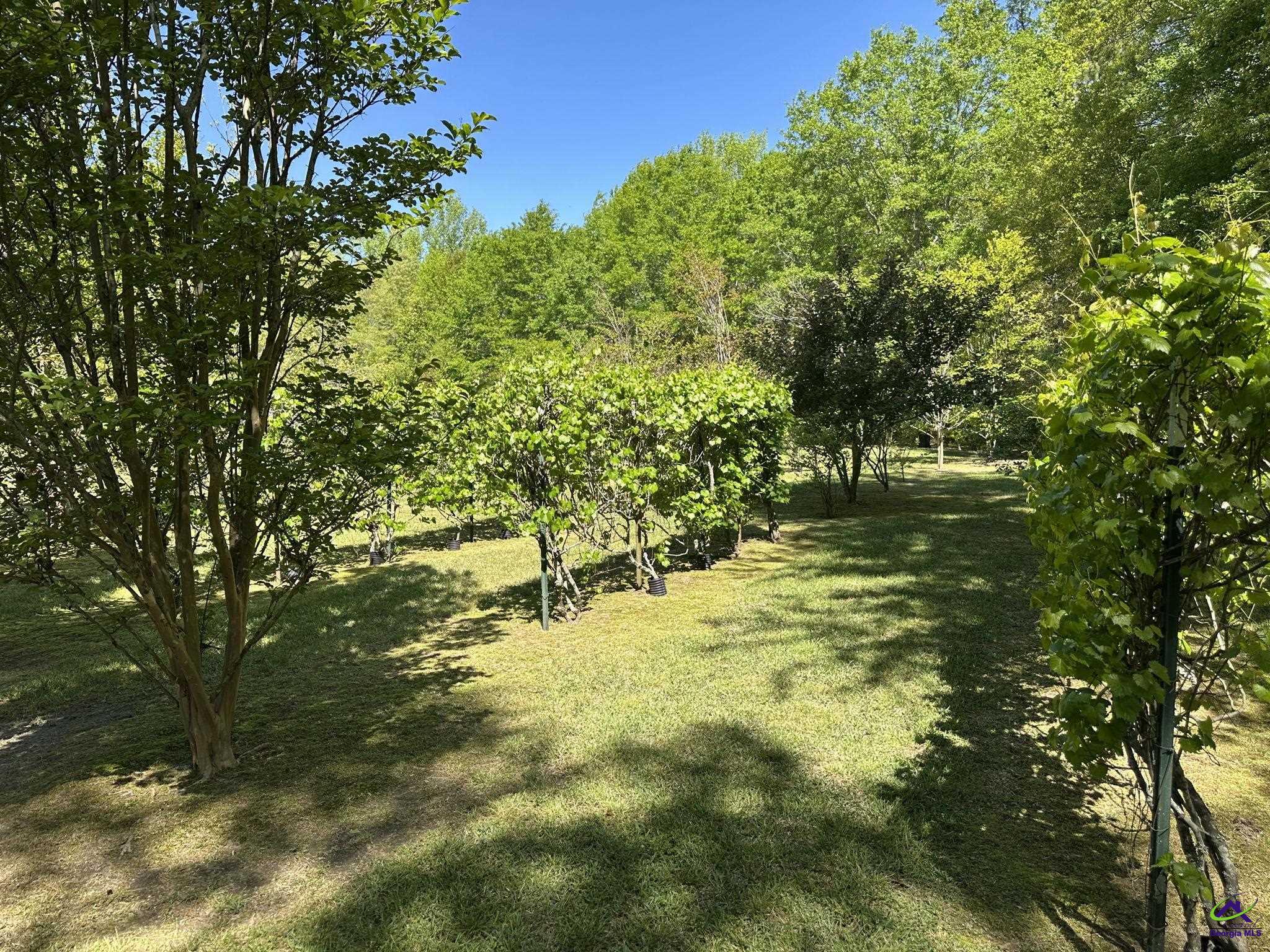 22199 US Hwy 441, McIntyre