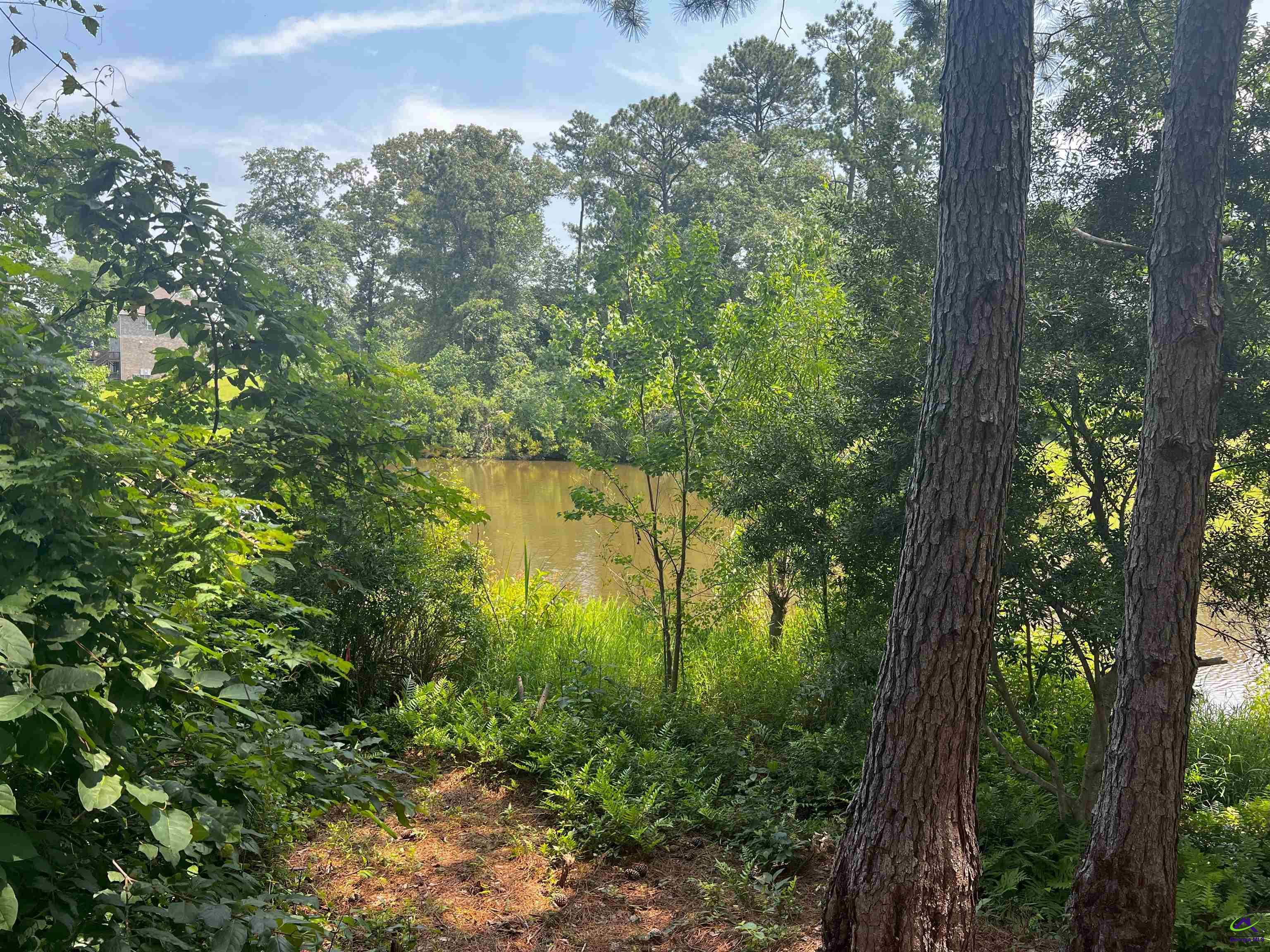 200 Wilsons Creek Bend