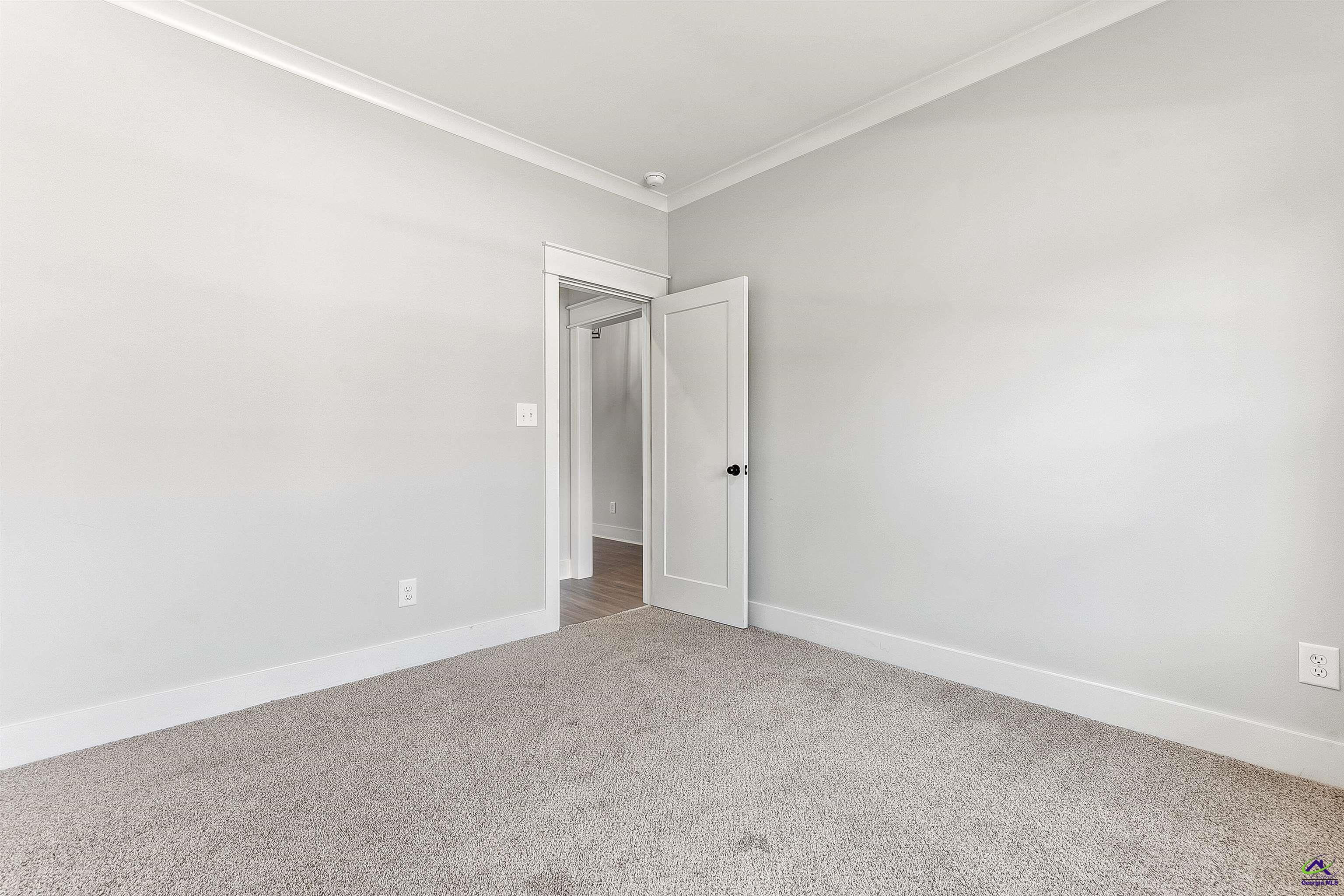 607 Bristleleaf Path